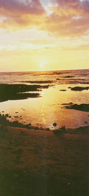 sunset.jpg