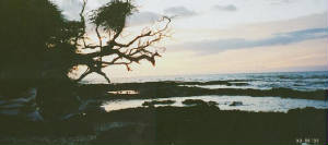 sunset2.jpg