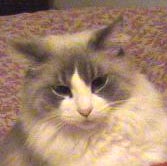 buddy.jpg
