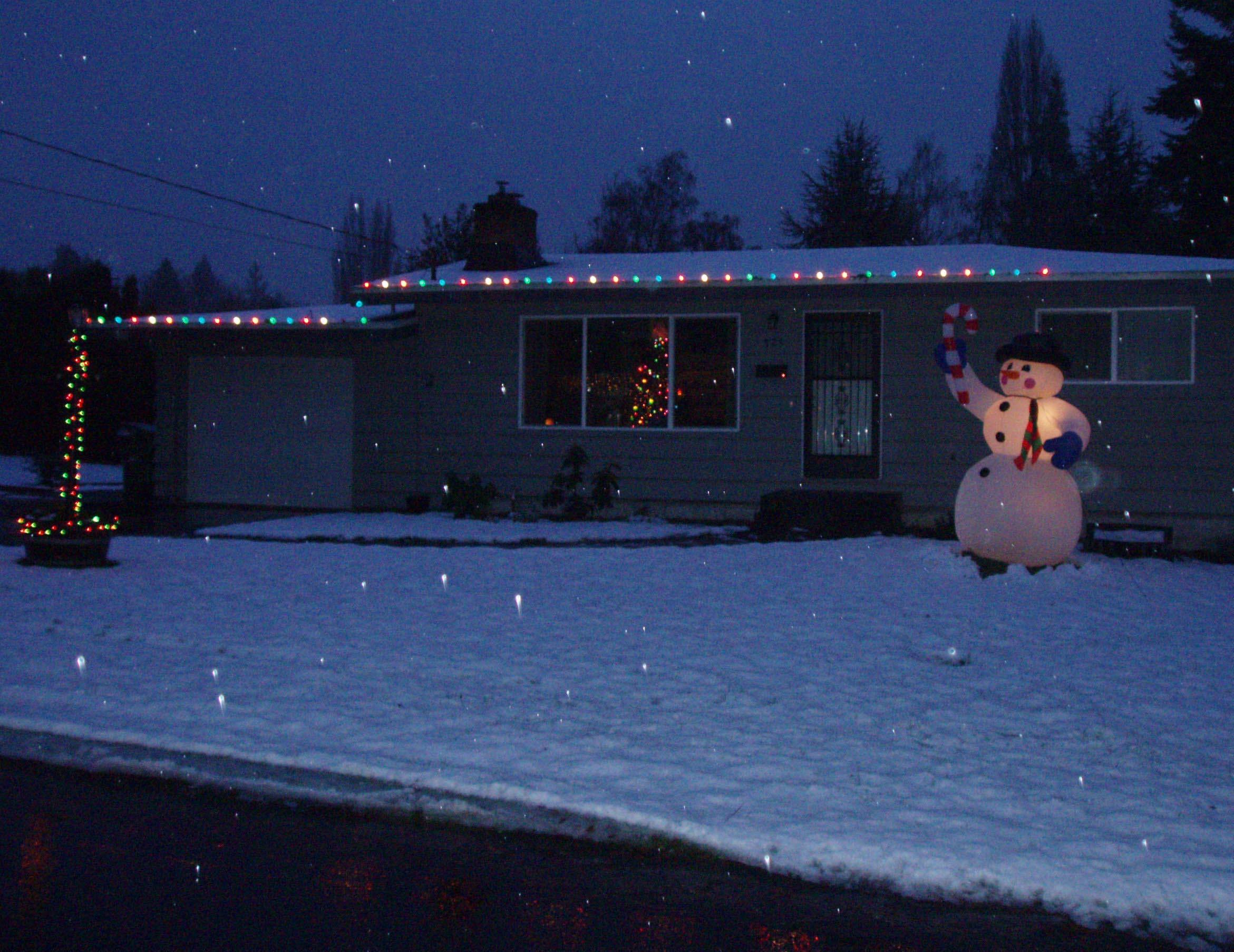 lights2006.jpg