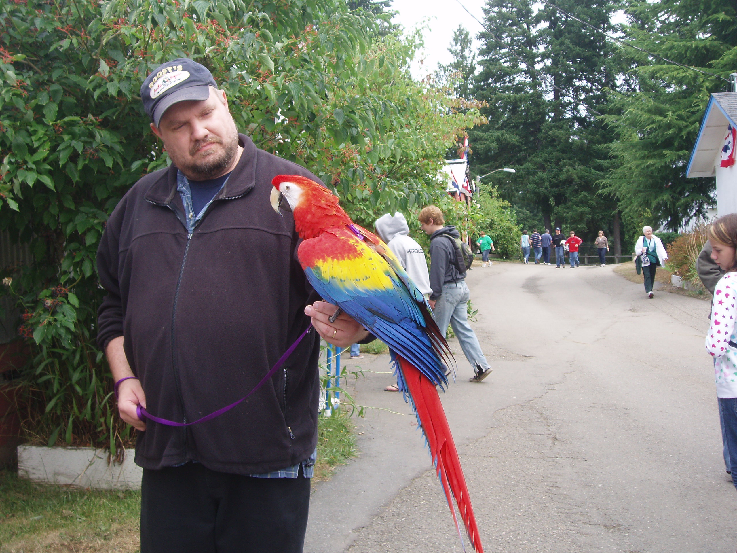 parrot.jpg