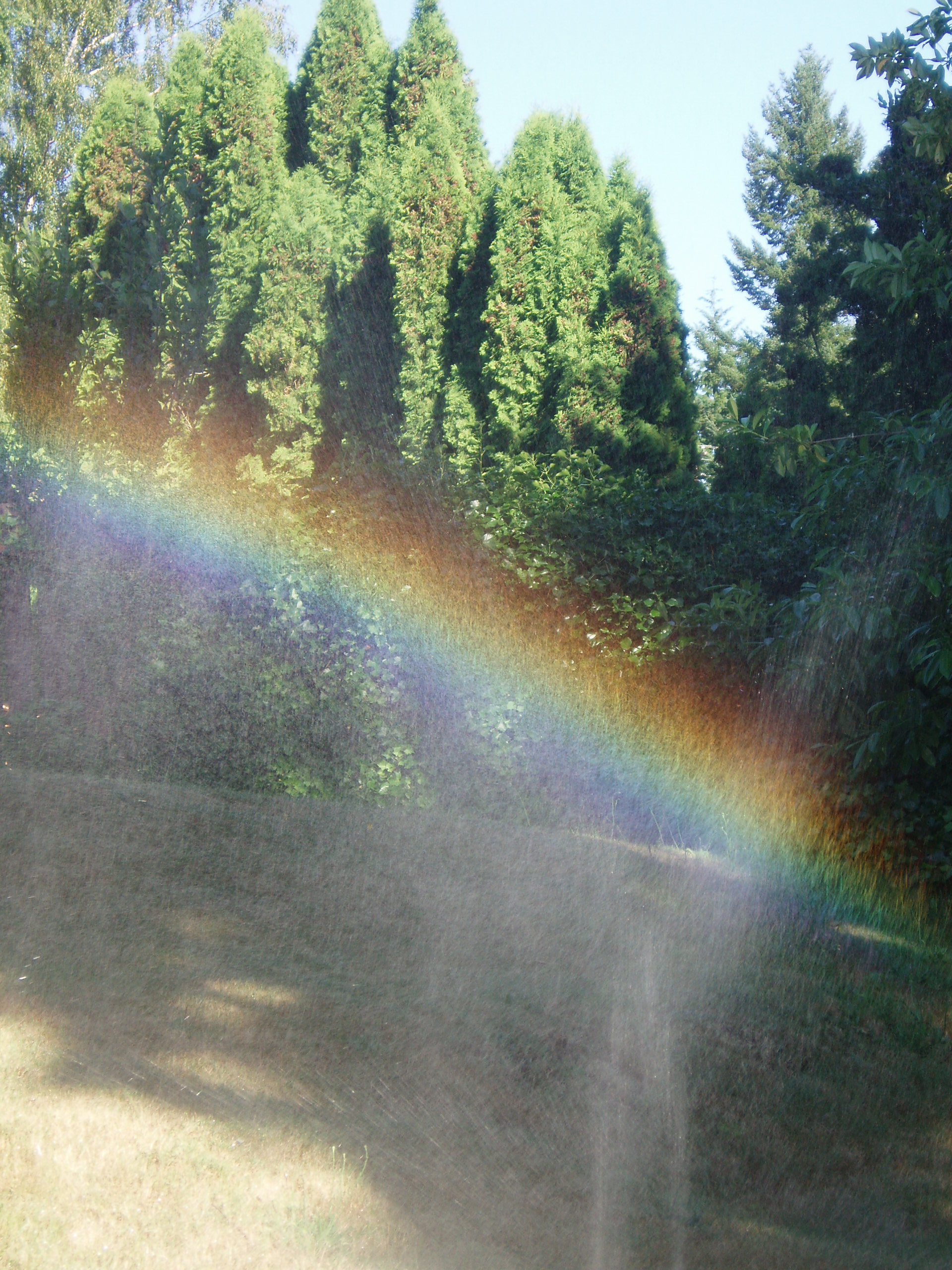 rainbow.jpg